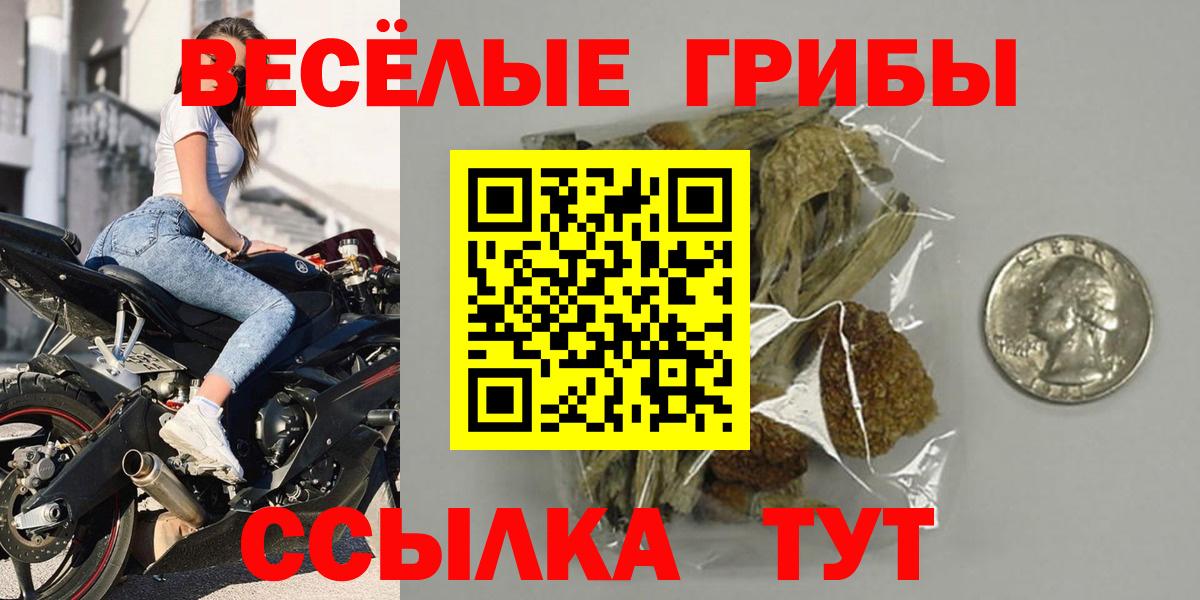 Галлюциногенные грибы MAGIC MUSHROOMS  Вход с VPN  Иркутск 