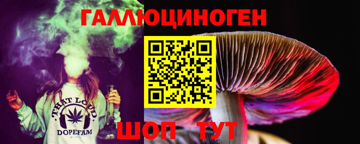 Псилоцибиновые грибы GOLDEN TEACHER Иркутск